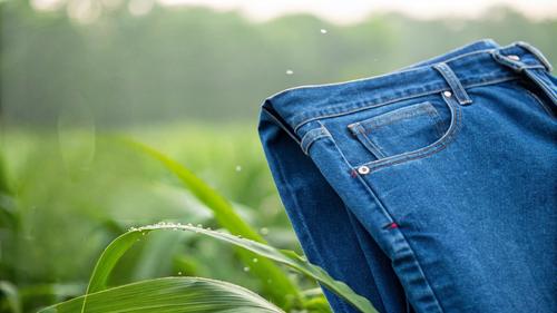 Solución enzimática textil avanzada para el acabado sostenible del denim