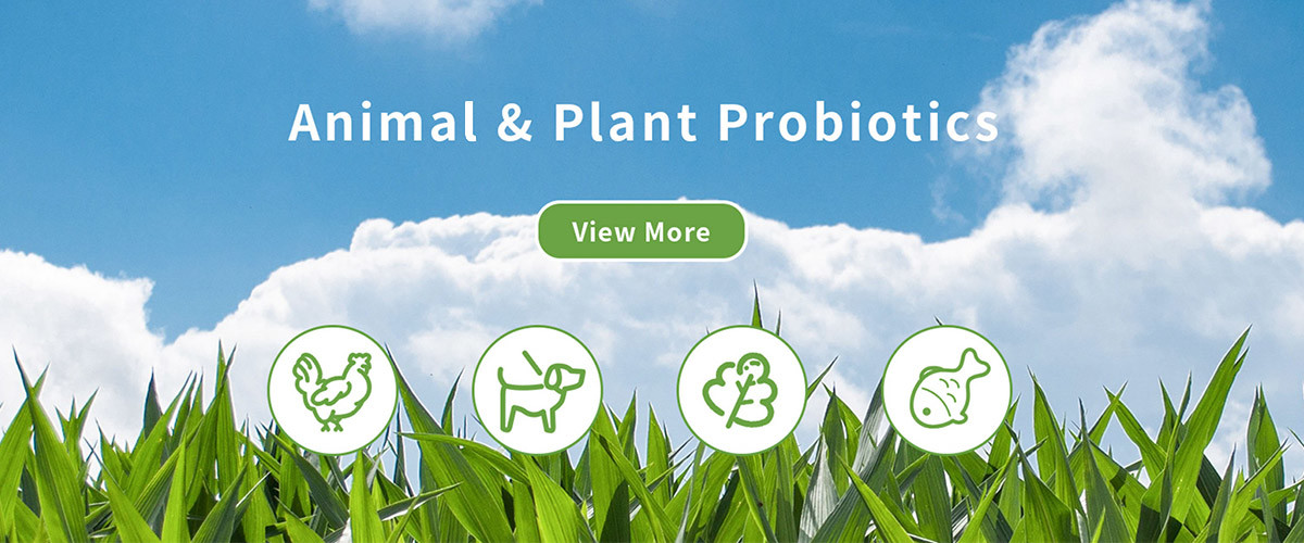 calidad Enzima de la materia textil fábrica