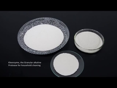 Amilasa detergente de la celulasa de la proteasa de la enzima