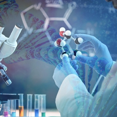 Un buen precio. Consiga delante de la competencia: Aprovechamiento de la capacidad máxima de Candida Antarctica Lipase B en línea
