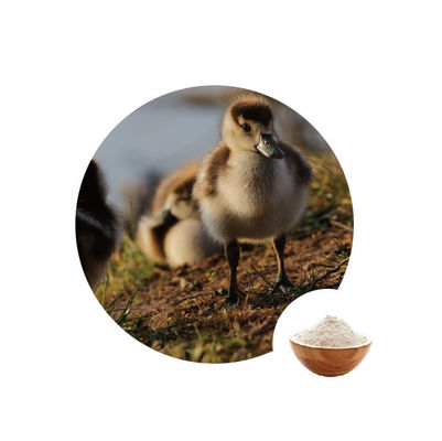 Un buen precio. oxidasis de glucosa de 10000u G en enzimas de las aves de corral de 1.1.3.4 del número de la EC de la industria alimentaria en línea