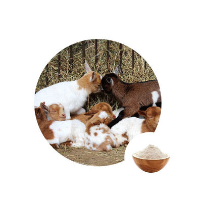 Un buen precio. EC número 1.1.3.4 de la oxidasis de glucosa del aditivo alimenticio en línea