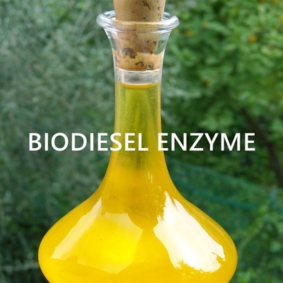 Un buen precio. Dirigir la enzima de la lipasa para los usos sostenibles del aceite de la bioenergía en línea