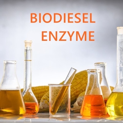 Un buen precio. Enzima de esterasas de ácidos grasos de alta solubilidad para aplicaciones farmacéuticas en línea
