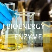 Un buen precio. Conversión catalizada lipasa del ISO del aceite de cocina inútil en el biodiesel en línea