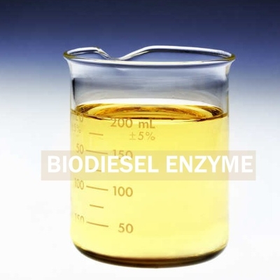 Un buen precio. Enzima producida de la lipasa de Biosurfactants para la recuperación mejorada del biodiesel en línea