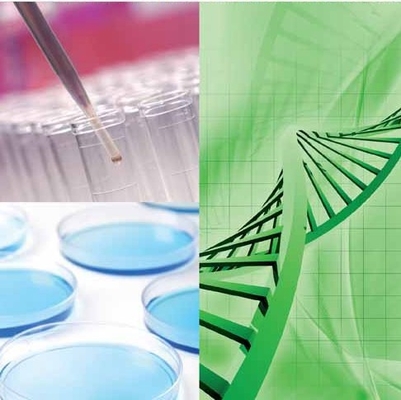 Un buen precio. Eleve sus operaciones de Biorefinery con la flexibilidad de la tecnología de la enzima de CALB en línea