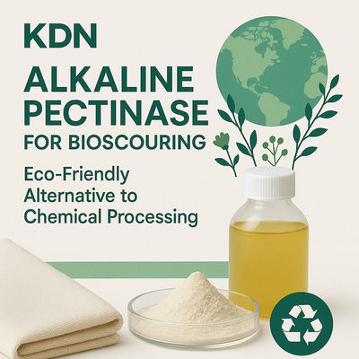 Un buen precio. Las fábricas textiles ecológicas eligen nuestra solución enzimática de eliminación de pectina en línea
