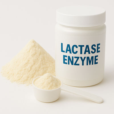 Un buen precio. Enzima beta-galactosidasa Sustituyente de la lactasa para productos lácteos sin lactosa Enzimas alimenticias en línea