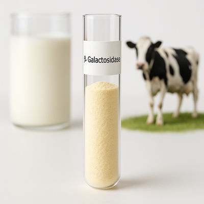 Un buen precio. Dosis personalizable yogur de leche libre de lactosa en polvo amarillo claro para diversas necesidades de procesamiento en línea