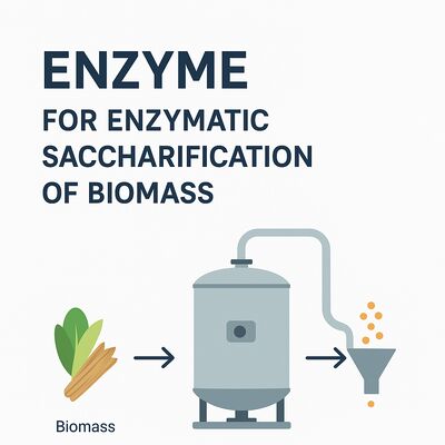 Un buen precio. Conversión enzimática industrial de la biomasa en azúcares fermentables que permitan la síntesis de productos escalables y de base biológica en línea