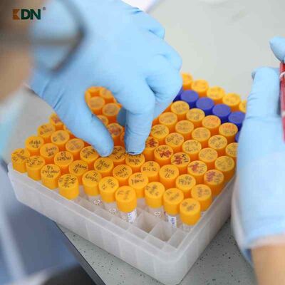 Un buen precio. Enzima del agente limpiador para eliminar manchas de aceite que utiliza péptidos y aminoácidos optimizados para aplicaciones de limpieza de alta resistencia en línea