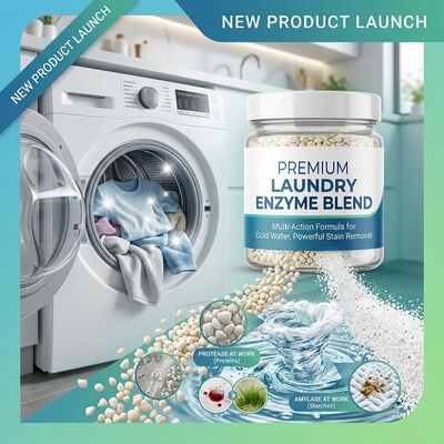 Un buen precio. Mezcla de enzimas para detergente activas en agua fría de proteasa alcalina y amilasa para lavado a baja temperatura en línea