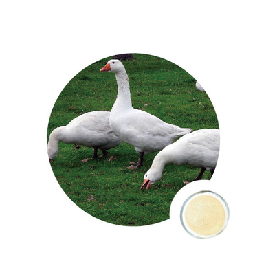 Un buen precio. enzimas del Nsp de 50000U g en aves de corral en línea