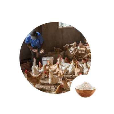 Un buen precio. El hidrógeno de las oxidasis de glucosa del aditivo alimenticio peroxida las enzimas de la producción usadas en la alimentación de las aves de corral en línea